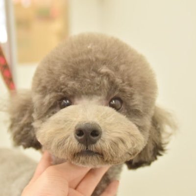 あきsamaさんのプロフィール画像