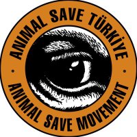 Animal Save Türkiye (@animalsavetr) 's Twitter Profile Photo Animal Save Türkiye (@animalsavetr) 's Twitter Profile Photo