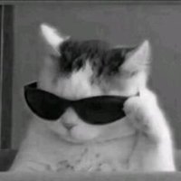 patu (@patu134) 's Twitter Profile Photo patu (@patu134) 's Twitter Profile Photo