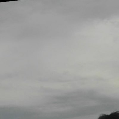 fnurachi's profile picture. 