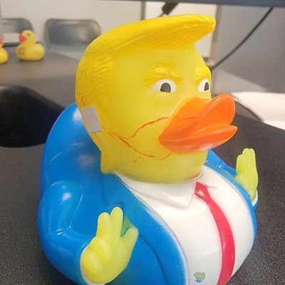 ThePeoplesDan's profile picture. The Dan of the People. 🇺🇸 IFBAP
