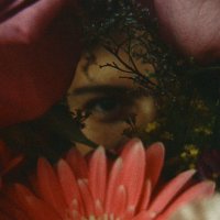 Anelena (@nomasanelena) 's Twitter Profile Photo