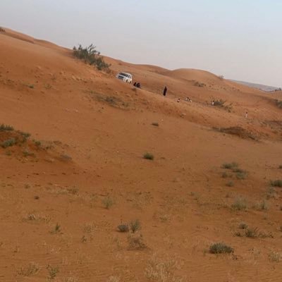 namd20233's profile picture. نايف