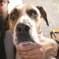 Ze content has expired and is no longer available (@mikegambit2000) 's Twitter Profile