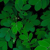 Muhittin (@siirtmerke32760) Twitter profile photo