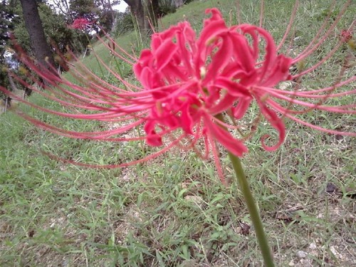 romnbae's profile picture. 철학자 종교상담자 
사람들이 행복하고 기쁘게 사는데 관심이 많아 정치 경제 교육 철학 심리 건강 예술.. 각 분야에 관심 특히 사람들의 영혼과 다시 오실 예수그리스도에 관심 마라나타