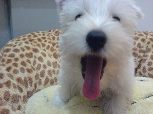 wihmunga's profile picture. A small potato in #HK, looking to get in-touch with the world, share my experience in #personaldevelopment, #studying, and #selfhelp.