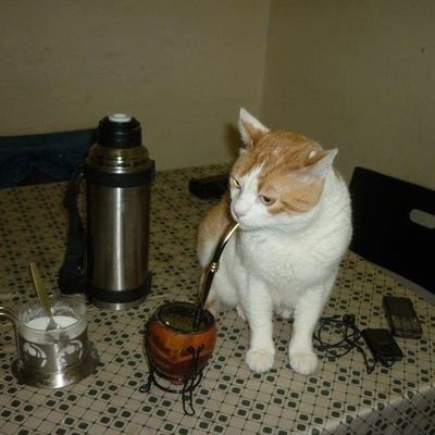 anotherleper's profile picture. Ser hostil es la única forma de dialogar aquí.