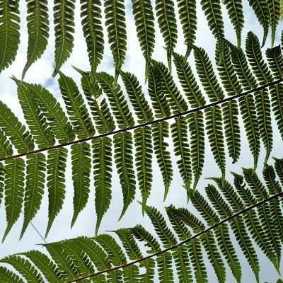 Multifonct73589's profile picture. 