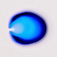 axoziro (@axoziro) 's Twitter Profile Photo axoziro (@axoziro) 's Twitter Profile Photo
