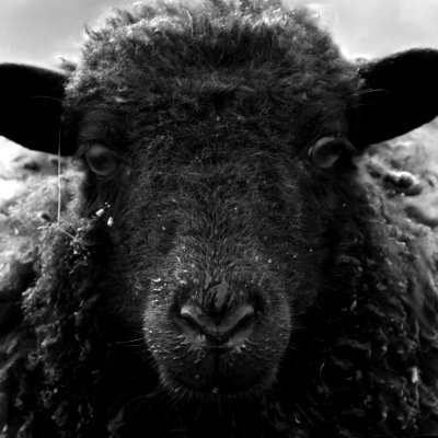 Fernandus621's profile picture. 