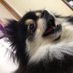 licca (@iori73209828) Twitter profile photo