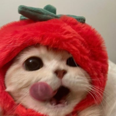 บจさんのプロフィール画像