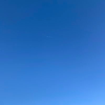 to_no06's profile picture. もともと「冬野まゆ」のアカウントでした。アカウントの不具合で、別アカウント作り直したので、こちら名前消しました。DMのやり取り消えるの嫌なのでアカウントだけ、残させいただきます。https://t.co/NDu0Chv2YL新しいアカウントになります。