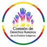 CDDHHPPII's profile picture. Cuenta oficial de la Comisión de Derechos Humanos de los Pueblos Indígenas de Colombia.