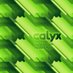 Larry Calyx (@larrycalyx) Twitter profile photo Larry Calyx (@larrycalyx) Twitter profile photo