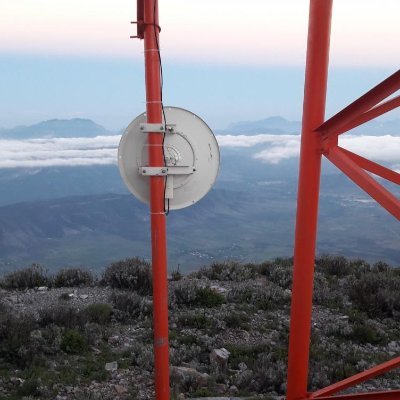 NetworQueando's profile picture. 