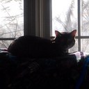 J Painter - @jenny_painter - Twitter