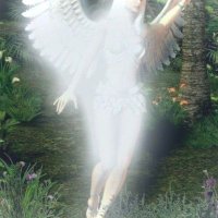 ⋆.·★ ℱₗₒᵣₐ ★·.⋆ (@_pix3lpixi3) 's Twitter Profile Photo ⋆.·★ ℱₗₒᵣₐ ★·.⋆ (@_pix3lpixi3) 's Twitter Profile Photo