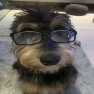 yaqu1sierass's profile picture. 