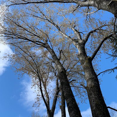 PauchardPablo's profile picture. 