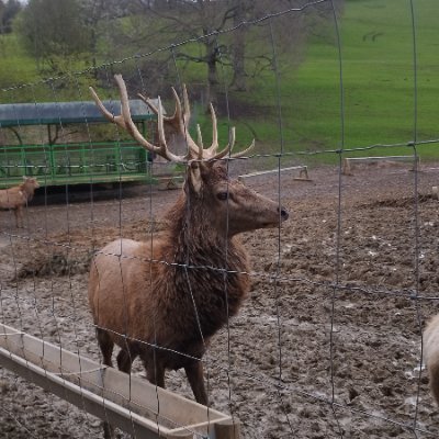 MChelladuraiAs1's profile picture. Curious