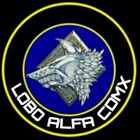 Lobo Alfa CDMX (@loboalfadf) 's Twitter Profile