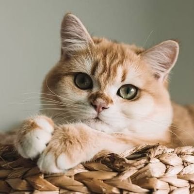 私は船員で、船の中で働き、船の中で暮らしています。🚢
私は責任感のある女性です。私は仕事を楽しんでおり、何をするにも成功を目指して努力しています