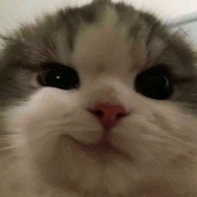 TSmagicbag's profile picture. 