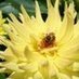 Our Organic Garden (@r_organicgarden) Twitter profile photo