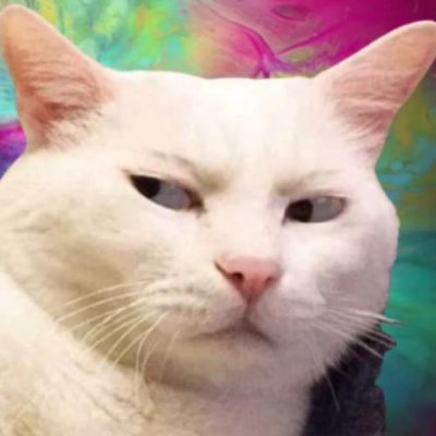 แมวเหมี่ยวさんのプロフィール画像