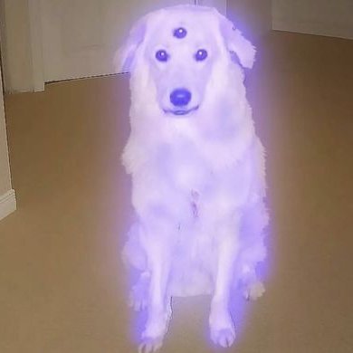 IllusionCTO's profile picture. It's all an illusion anon.
https://t.co/VZU1zecHdo
5gdyZKYfAFNsJSR246Y6Kv6L6Jwu8S5Q6JHvRU3tpump