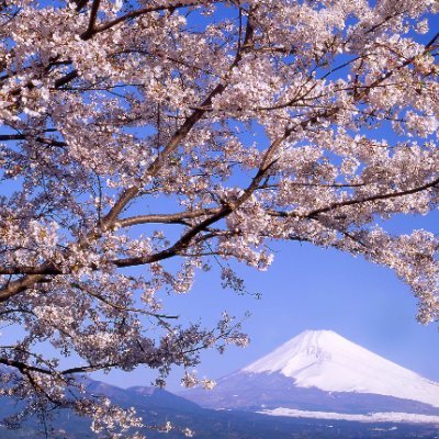 hPYMC5F40bEdqVu's profile picture. 趣味は山登りです。