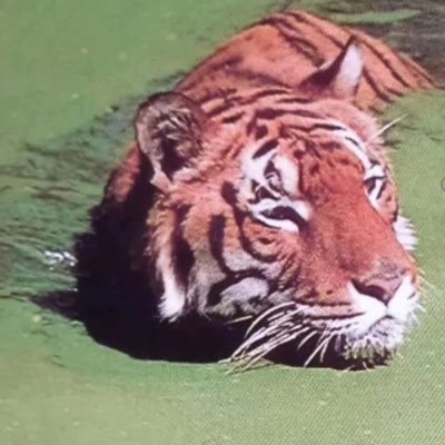 _KM_Lal's profile picture. 