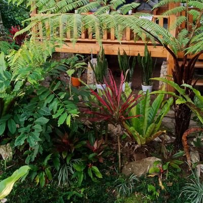 wil38771's profile picture. 