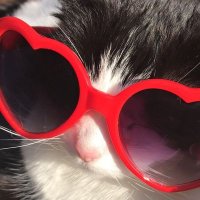 chu 🌷 (@chewiewrites_) 's Twitter Profile