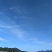 SHIN (@shinmfgk) Twitter profile photo