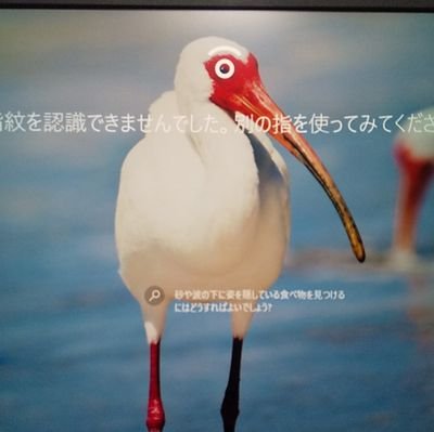 つな菜さんのプロフィール画像