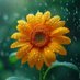 Mukesh kumar (@mukeshk60163796) Twitter profile photo Mukesh kumar (@mukeshk60163796) Twitter profile photo