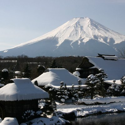 WtMsdp4euoxwkZr's profile picture. 投資に挑戦したいと思っています。