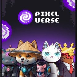 sangilcst's profile picture. 