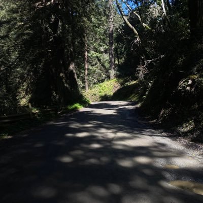 iHeartNinoPaid's profile picture. 