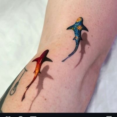 MartinW24753252's profile picture. 