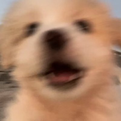 primnadaaa's profile picture. 