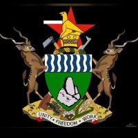 Commander Vital🇿🇼 (@maronjesevital) 's Twitter Profile