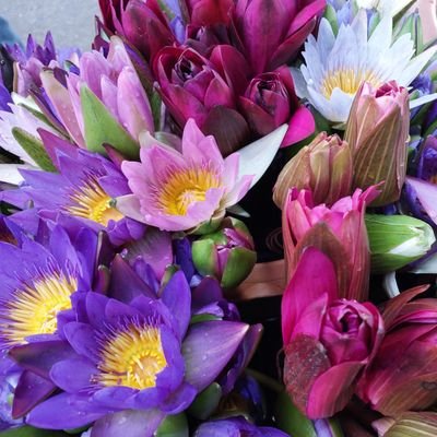 renong234's profile picture. jeff / nont / jackson wang 🫶🫶🫶