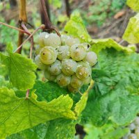 Charlie (@charlie031219) 's Twitter Profile Photo