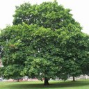 Nancy Ladd Smith - @nsmith8594 - Twitter