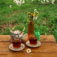 Doaa Gamal (@gamal996787) 's Twitter Profile