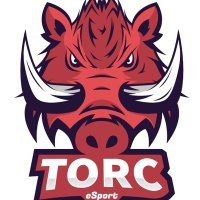 Torc Esport (@torcardlan) 's Twitter Profile Photo Torc Esport (@torcardlan) 's Twitter Profile Photo